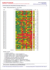 ILSA Screening rechnergestützte Auswertung ILSA Screening rechnergestützte Auswertung